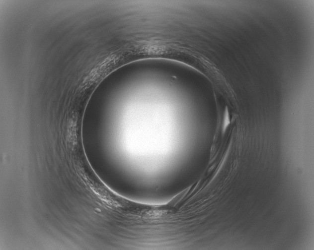 X0000086320497200703301221