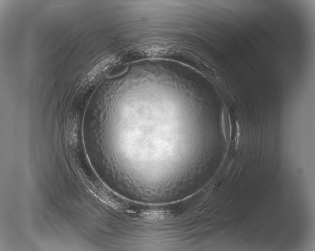 X0000086320499200703301221