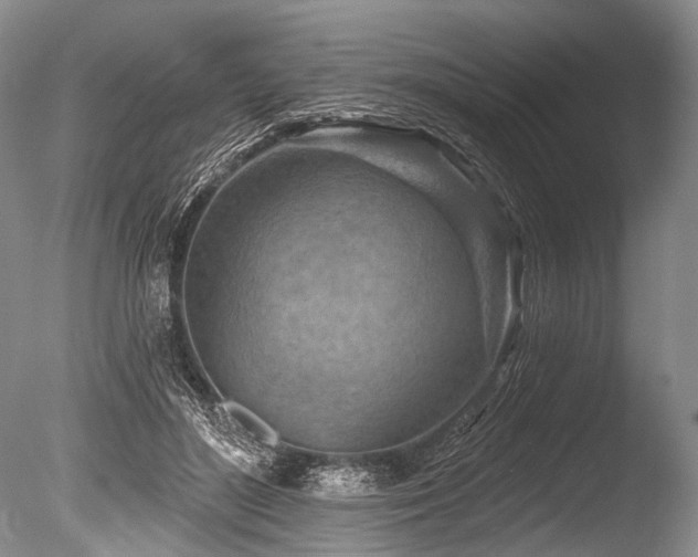 X0000086320500200703301221