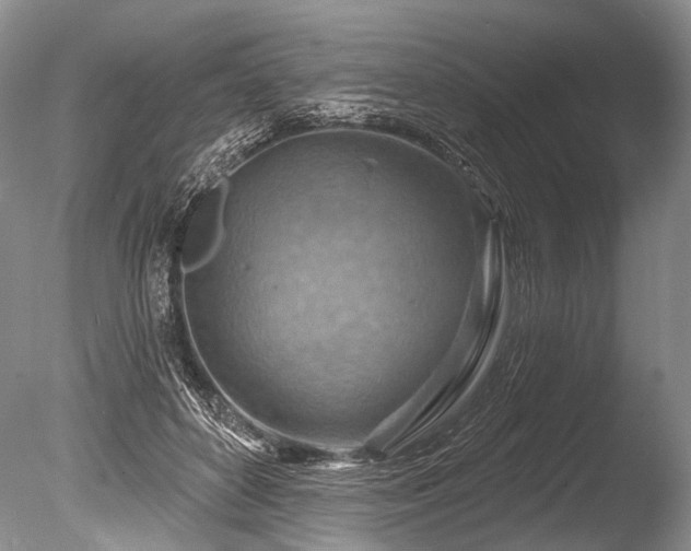 X0000086320504200703301221