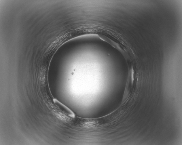 X0000086320505200703301221