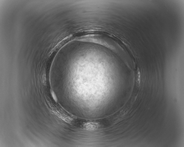 X0000086320508200703301221