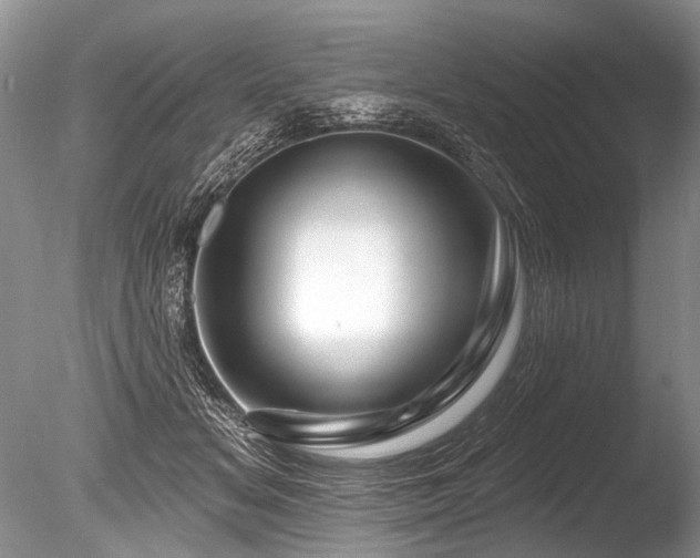 X0000086320509200703301221