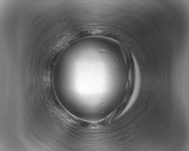 X0000086320510200703301221