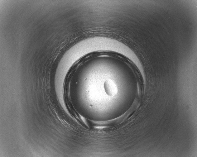 X0000086320512200703301221