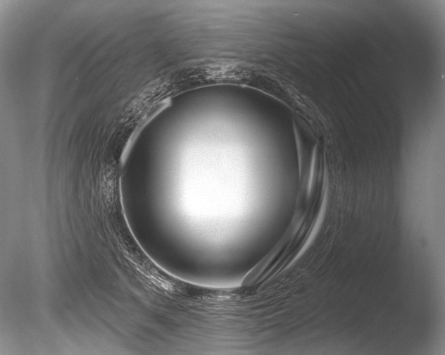 X0000086320513200703301221