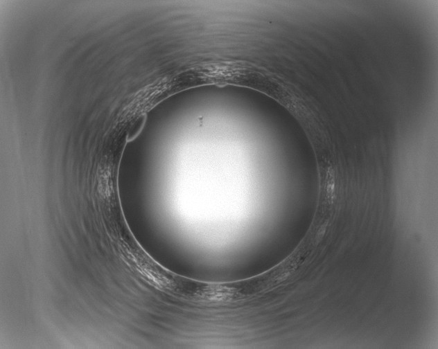 X0000086320514200703301221