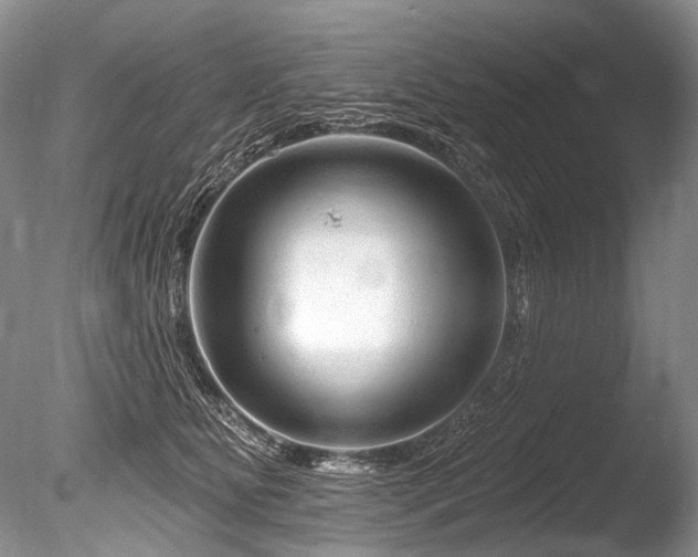 X0000086320515200703301221