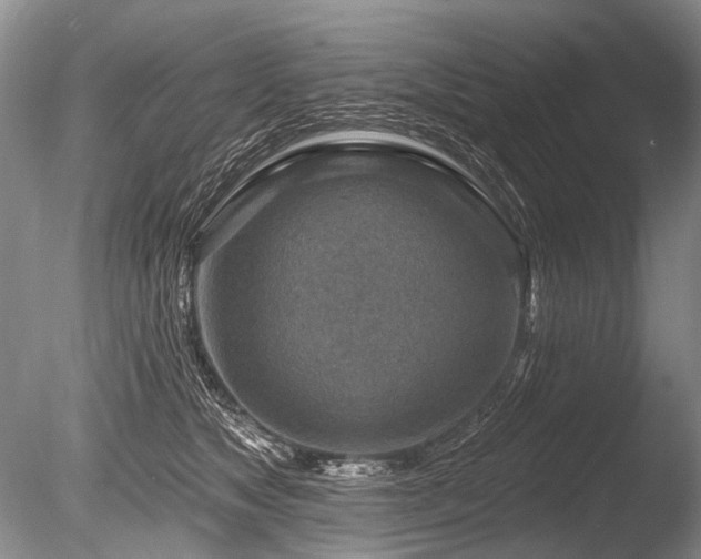 X0000086320517200703301221
