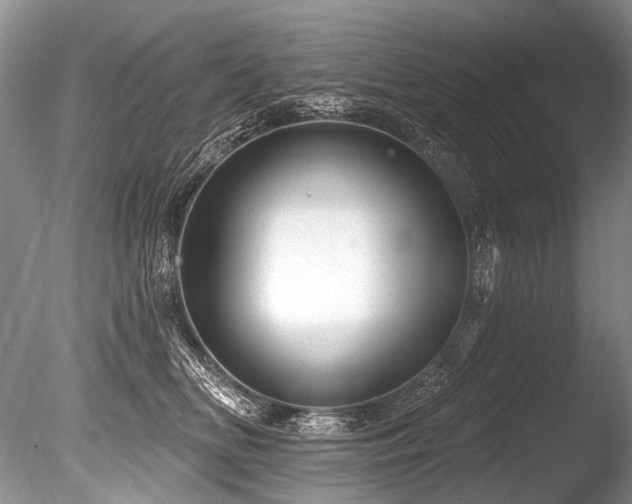 X0000086320518200703301221