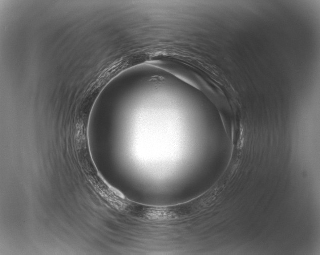 X0000086320521200703301221