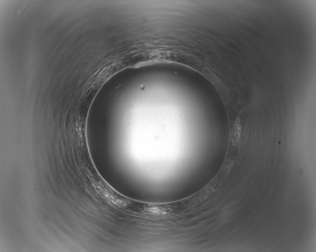 X0000086320522200703301221
