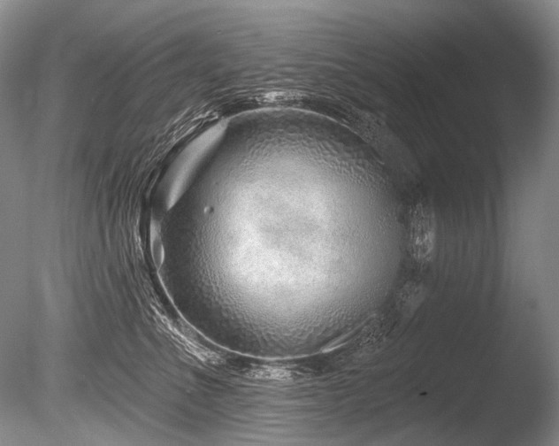 X0000086320523200703301221