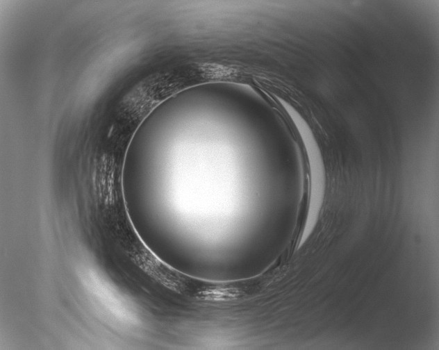 X0000086320525200703301221
