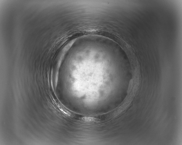 X0000086320528200703301221