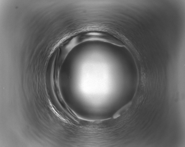 X0000086320530200703301220