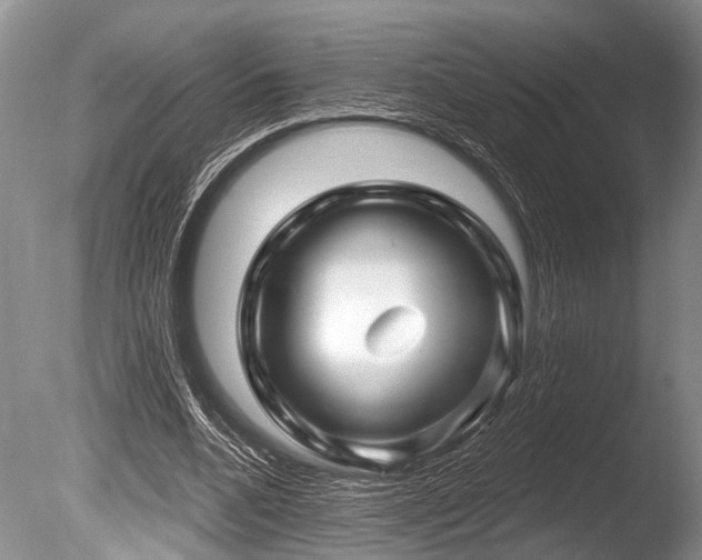 X0000086320536200703301220