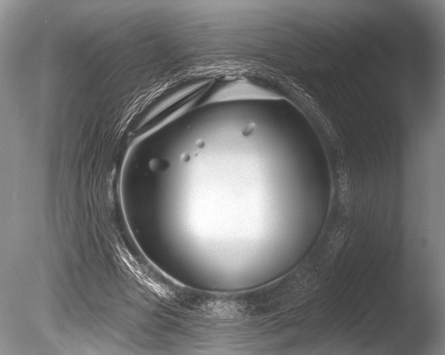 X0000086320537200703301220