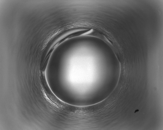 X0000086320538200703301220