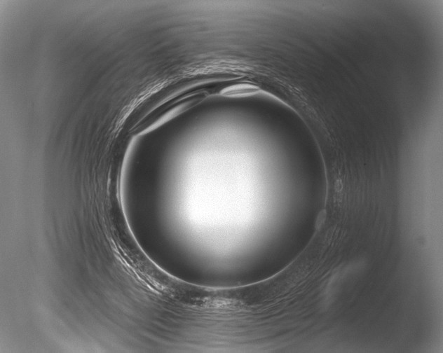 X0000086320539200703301220