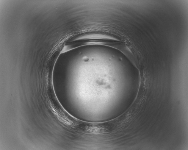 X0000086320542200703301220