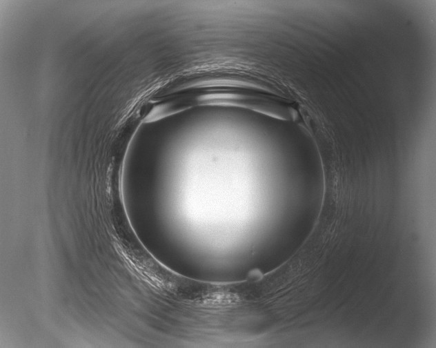 X0000086320543200703301220