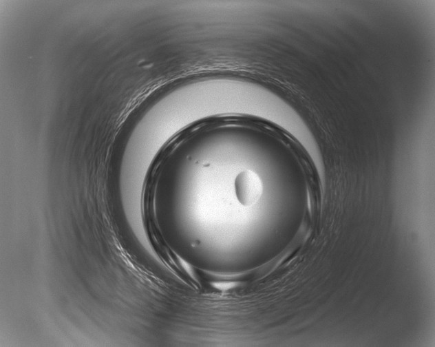 X0000086320544200703301220