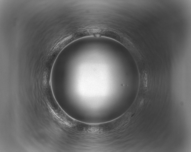 X0000086320546200703301220