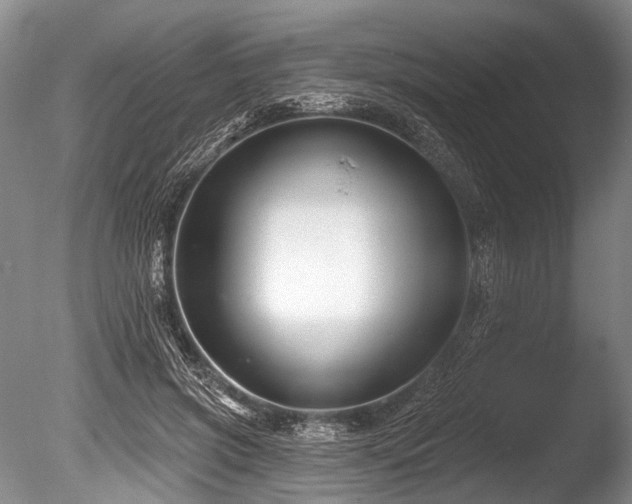X0000086320549200703301220