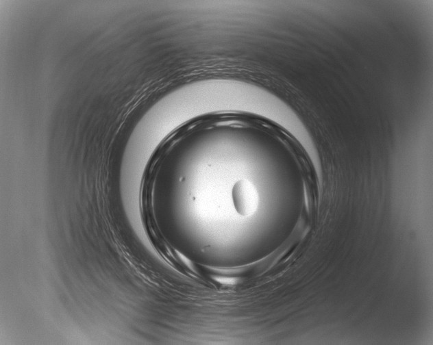 X0000086320552200703301220