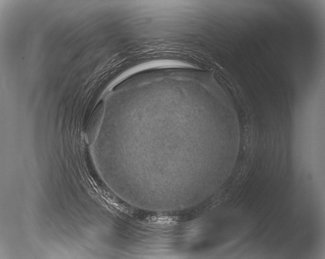 X0000086320553200703301220