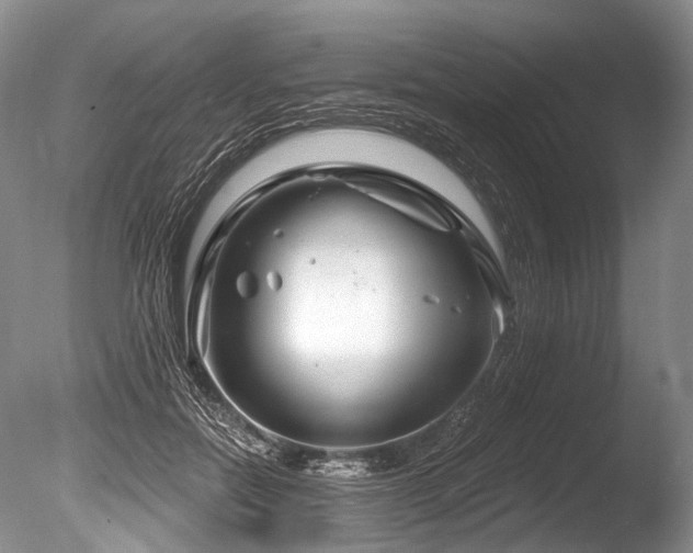 X0000086320554200703301221