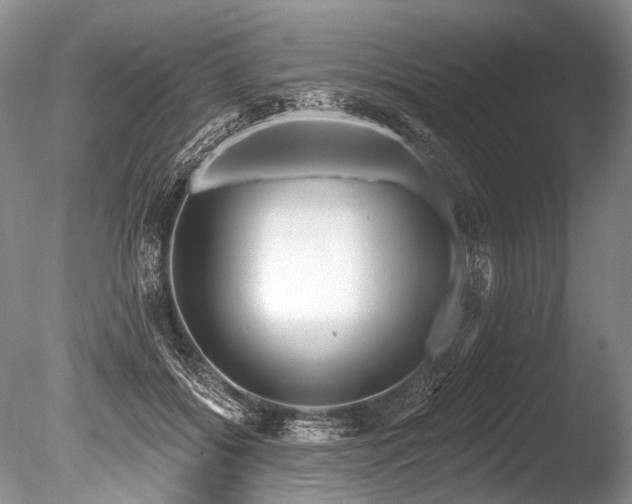 X0000086320556200703301221
