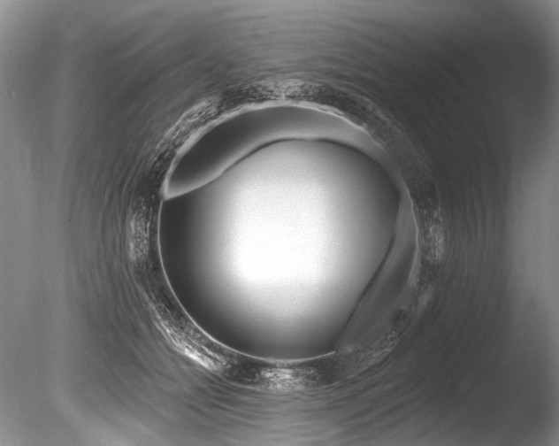 X0000086320558200703301221