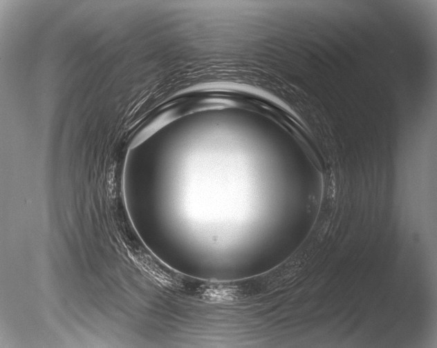 X0000086320560200703301221
