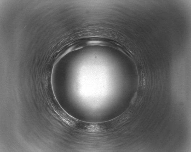 X0000086320562200703301221