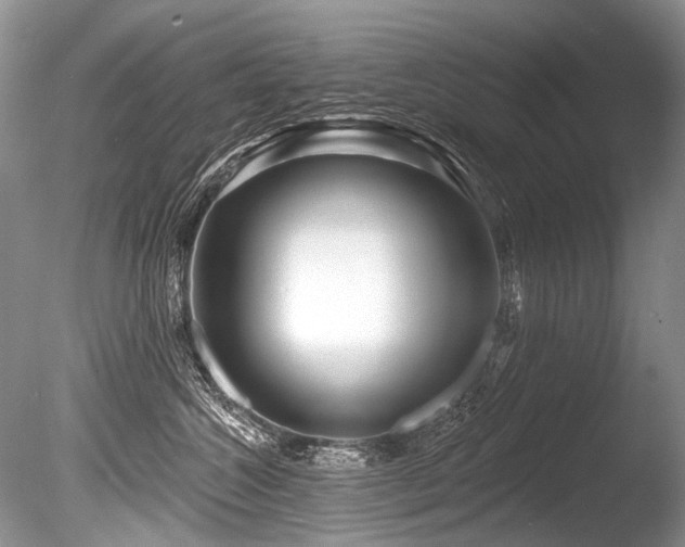 X0000086320572200703301221
