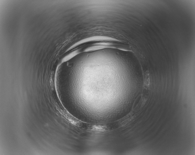 X0000086320573200703301221