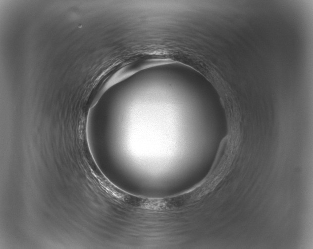 X0000086320576200703301221