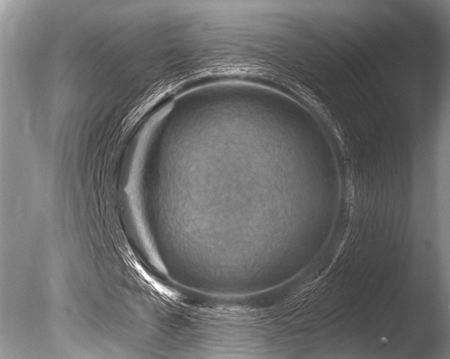 X0000086320577200703301220