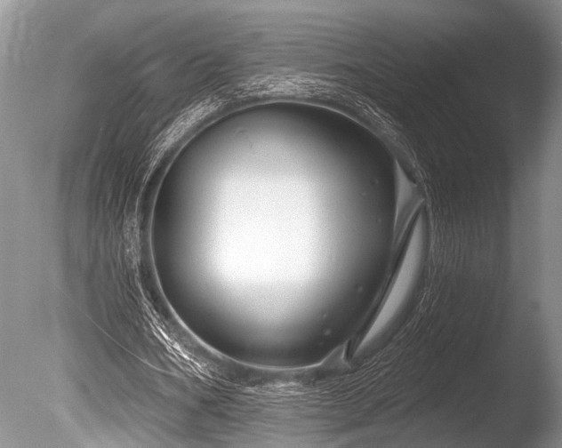 X0000086320578200703301220