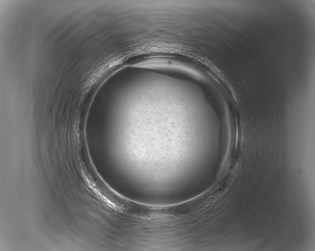 X0000086320581200703301220