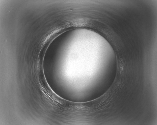 X0000086320583200703301220