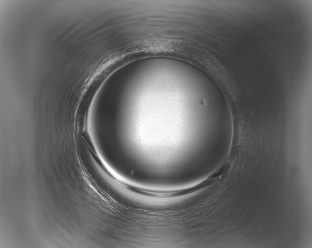 X0000086320584200703301220