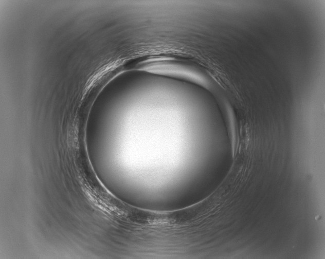 X0000086320587200703301220