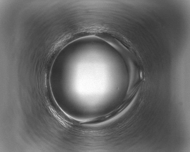 X0000086320589200703301220