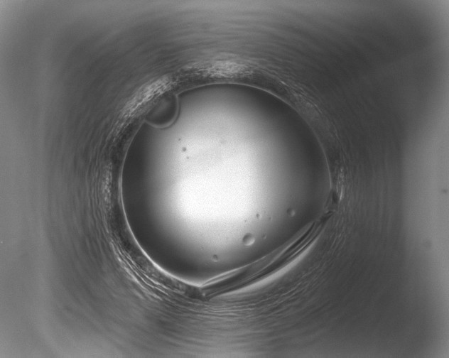 X0000086320591200703301220