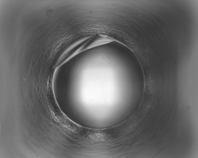X0000086320594200703301220