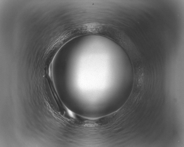 X0000086320595200703301220