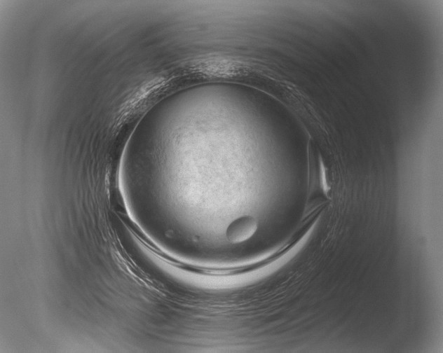 X0000086320596200703301220